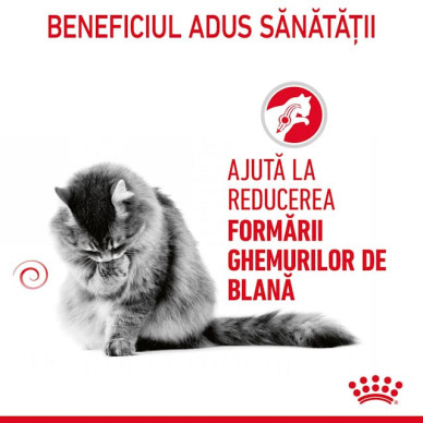Royal Canin Hairball Care – Hrană Uscată pentru Pisici Adulte – 2 kg